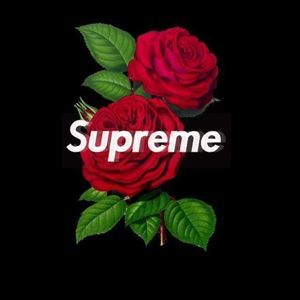 Meet your Posher, Dylan